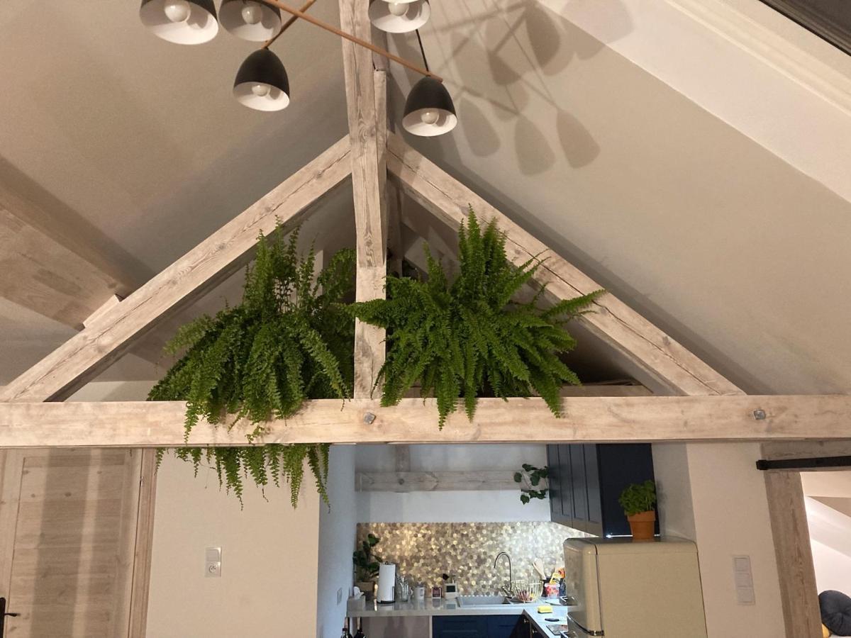 Attic Appart Stary Toruń Екстериор снимка