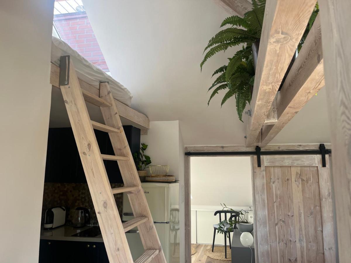 Attic Appart Stary Toruń Екстериор снимка